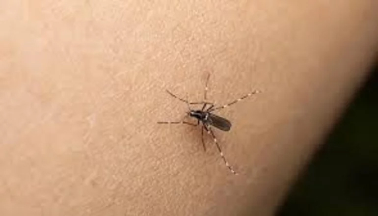 Detectaron el primer caso importado de dengue en San Luis