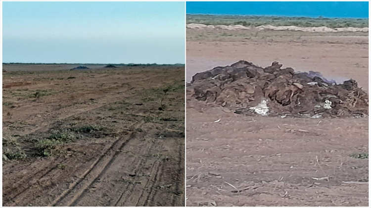Carpintería: un hombre fue multado por iniciar un quema