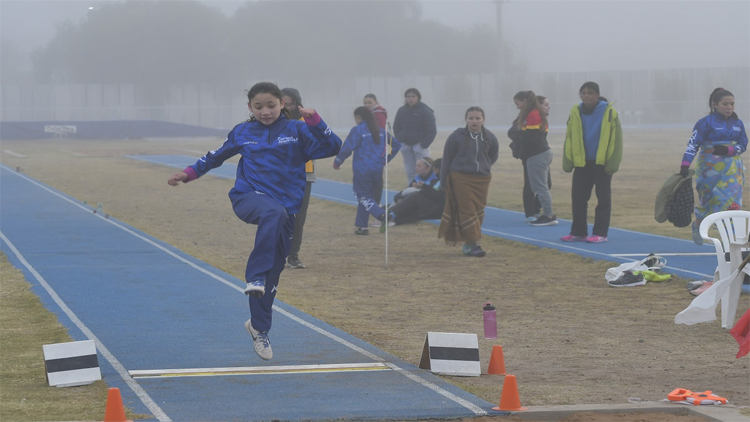 ATLETISMO: los deportistas de la ULP brillaron en el Provincial