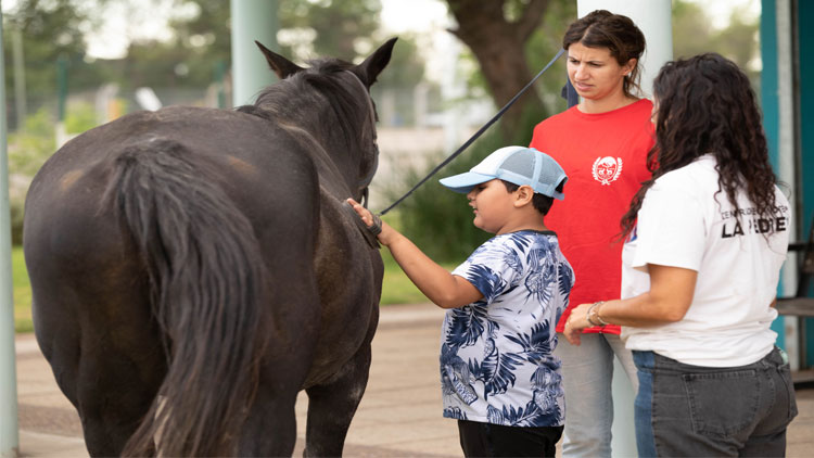 VILLA DE MERLO: El espacio de equinoterapia llega este miércoles a la Villa de Merlo con Salud y bienestar