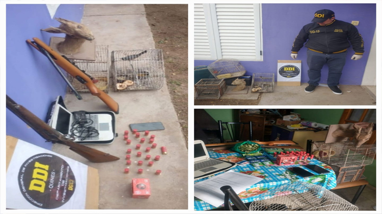 QUINES: la Policía realizó un allanamiento por infracción a la Conservación de la Fauna Silvestre
