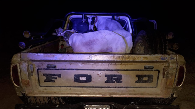 CASIMIRO GÓMEZ: Un cazador furtivo fue sorprendido