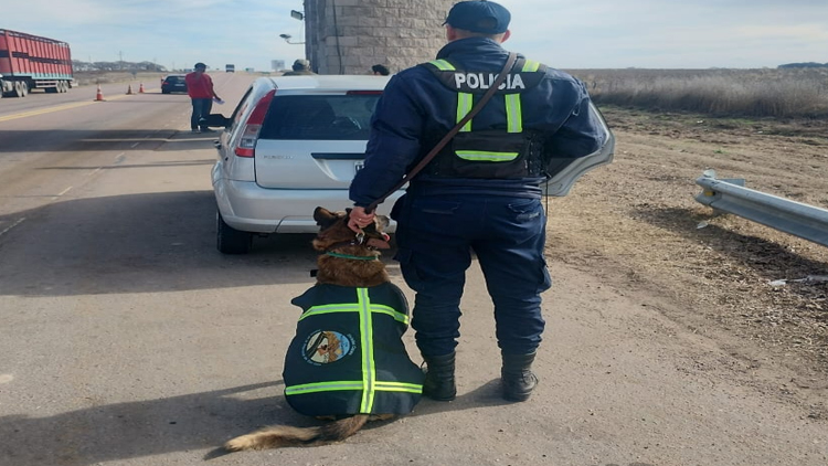 POLICIALES: Un hombre tenía droga en su poder y fue detenido