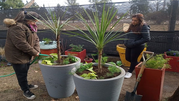 VILLA MERCEDES: Tareas de mantenimiento y ornamentación en plazas y espacios públicos