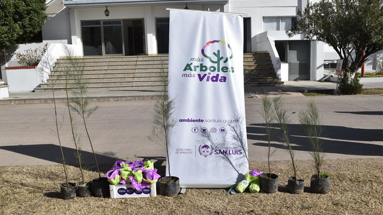 PLAN DE FORESTACIÓN: Comenzó la iniciativa “Más Árboles, Más Vida” en las industrias puntanas