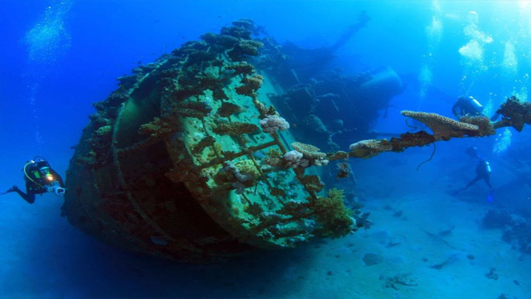 TURISMO: Un parque submarino de Argentina se convirtió en el más grande de Sudamérica