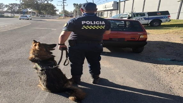 SAN LUIS: Tenía estupefacientes en su poder y fue demorado