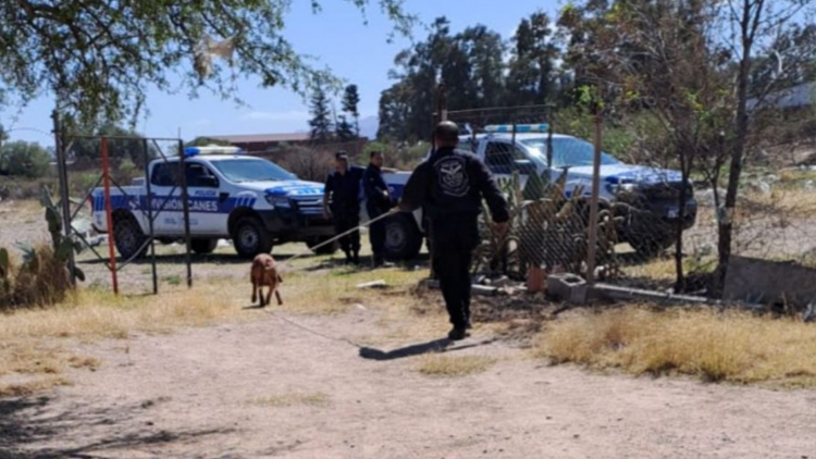 SAN LUIS: Personal de Canes recuperó elementos sustraídos