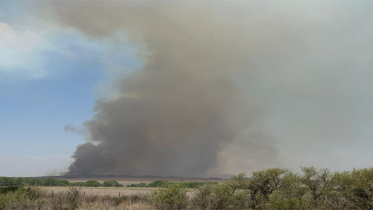 SAN LUIS: Continúan con las tareas para controlar el incendio en la zona de Juan W. Gez