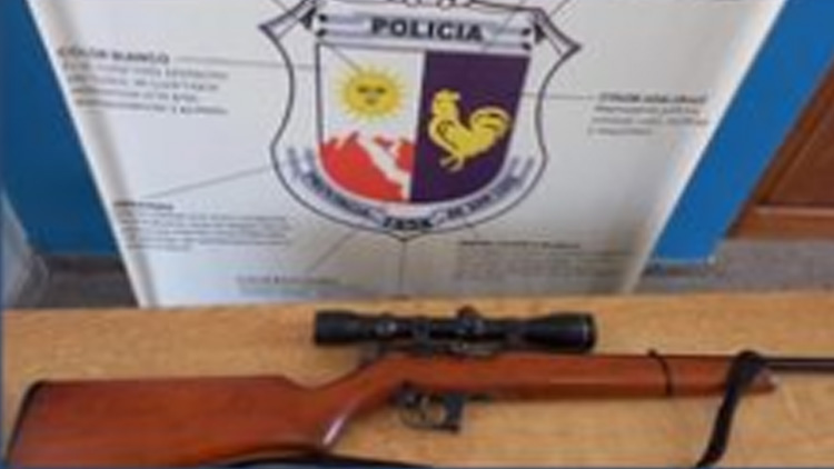 BATAVIA: recuperaron un arma de fuego y elementos sustraídos