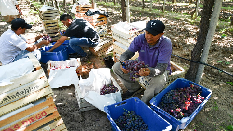SAN LUIS: “Sol Puntano recibió $937 millones y no encontramos las rendiciones”