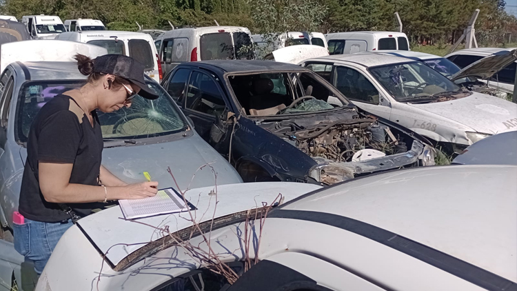 SAN LUIS: Avanza el Censo Automotor