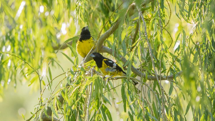 AMBIENTE: Brindan espacios de educación ambiental en las Áreas Naturales Protegidas de San Luis
