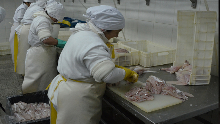 SALUD: Senasa brindó recomendaciones para el consumo seguro de pescado en Semana Santa