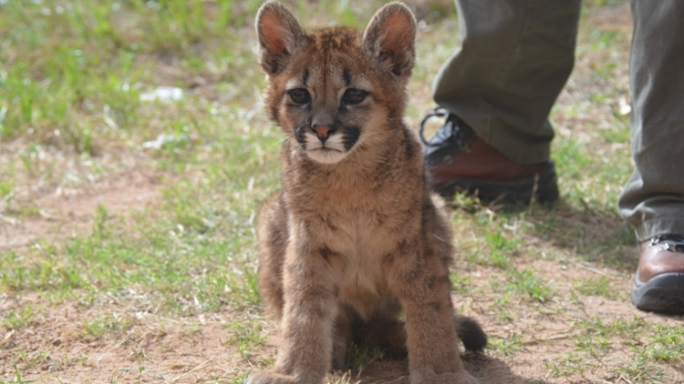 AMBIENTE: La Reserva Floro Faunística de La Florida permanecerá cerrada el fin de semana