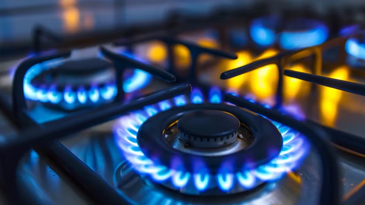 ECONOMÍA: Luz y gas – El Gobierno Nacional analiza congelar las tarifas durante todo el invierno