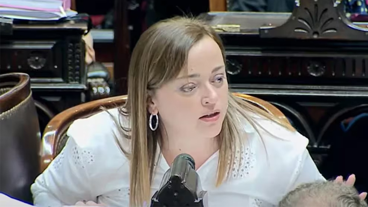POLÍTICA: “Machirulo” – Un duro cruce entre Cecilia Moreau y Martín Menem provocó una mención al caso Alberto Fernández – Fabiola Yañez durante la sesión en Diputados