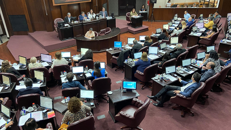 SAN LUIS: En caldeada sesión, el oficialismo consiguió aprobar el Presupuesto 2025 y la adhesión al RIGI