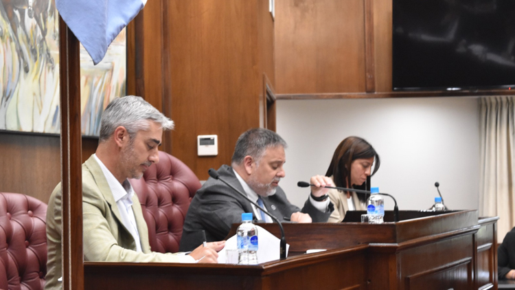 SAN LUIS: Dieron media sanción a la creación del Consejo Provincial de Personas con Discapacidad