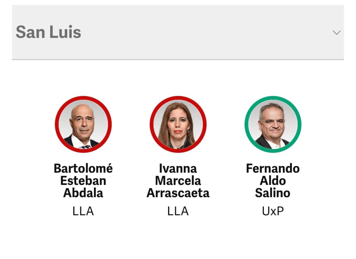 Política. Cómo votaron los senadores de San Luis  el veto de Milei a la ley Garrahan
