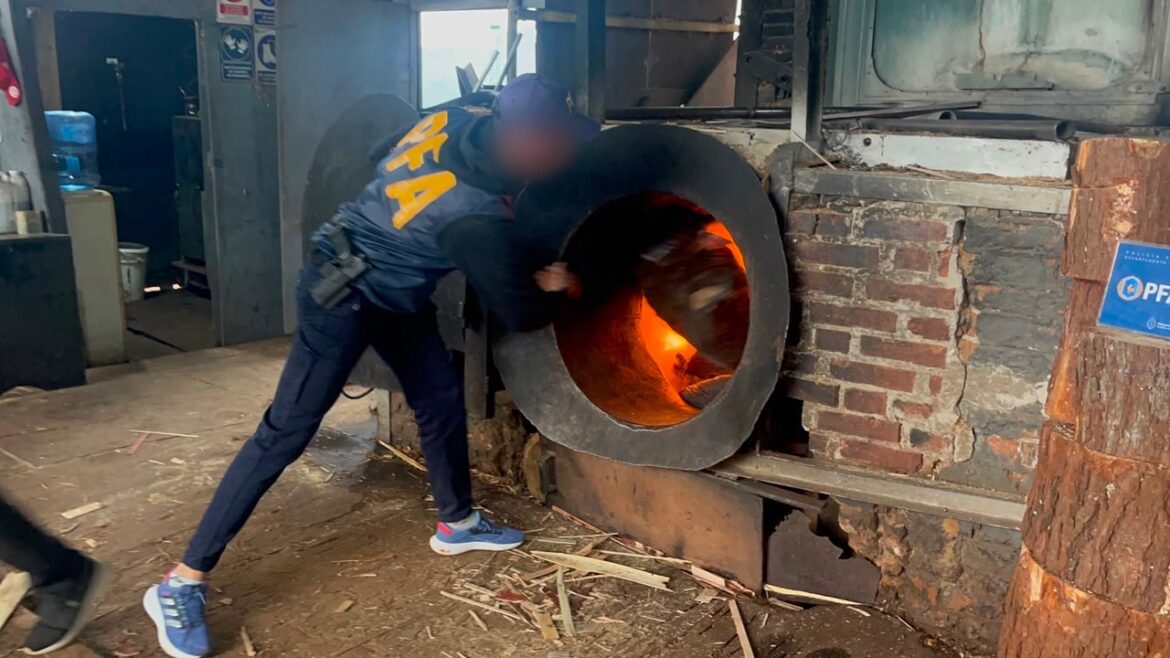 Quemaron casi mil kilos de marihuana secuestrada en cuatro operativos