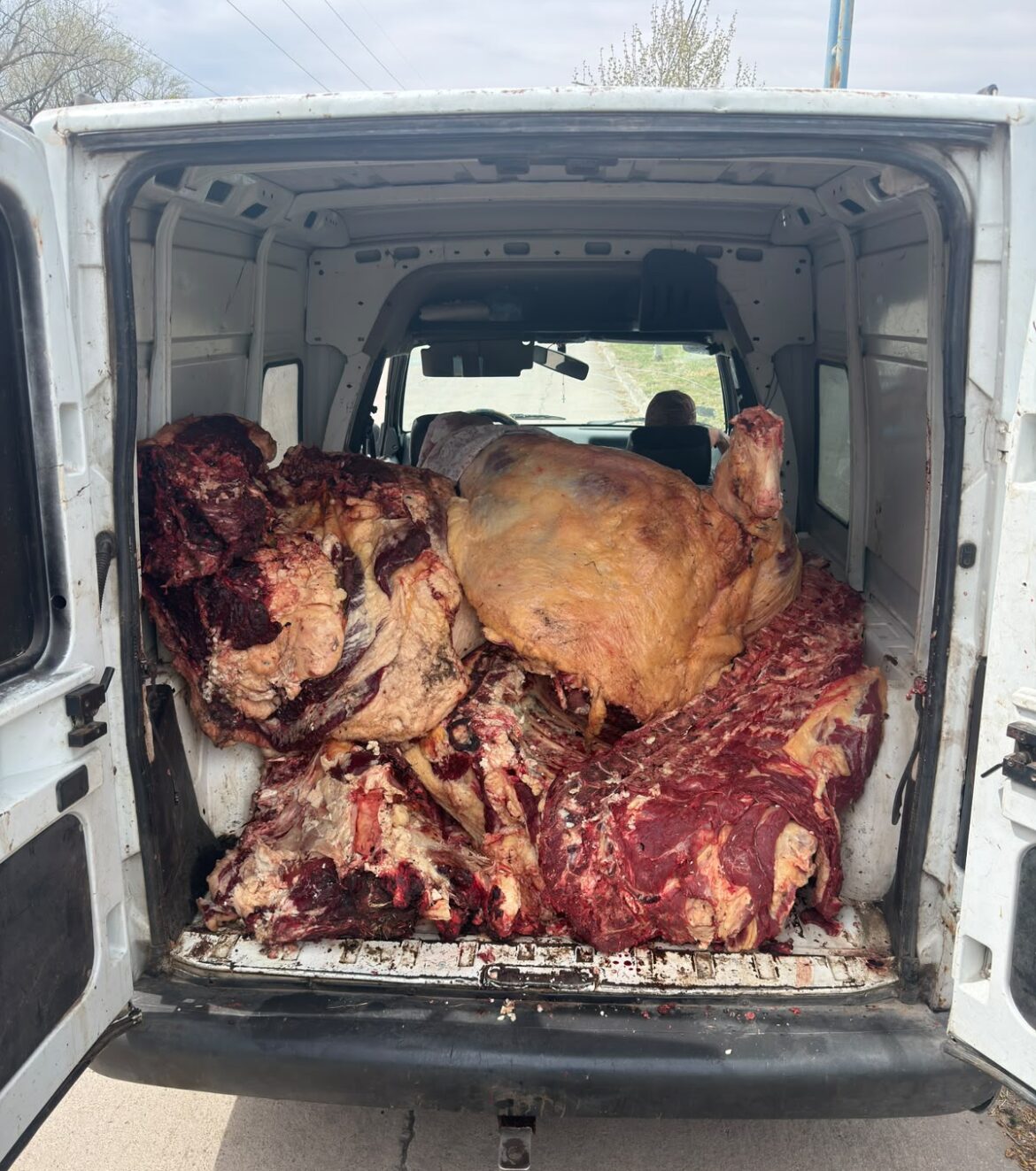 Tenían 480 kilos de carne y los liberaron porque no había pruebas de que era de un abigeato