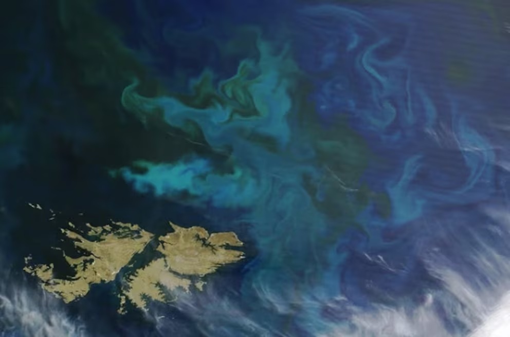 Las 45 empresas que sancionarían por explotar los recursos petroleros de Malvinas
